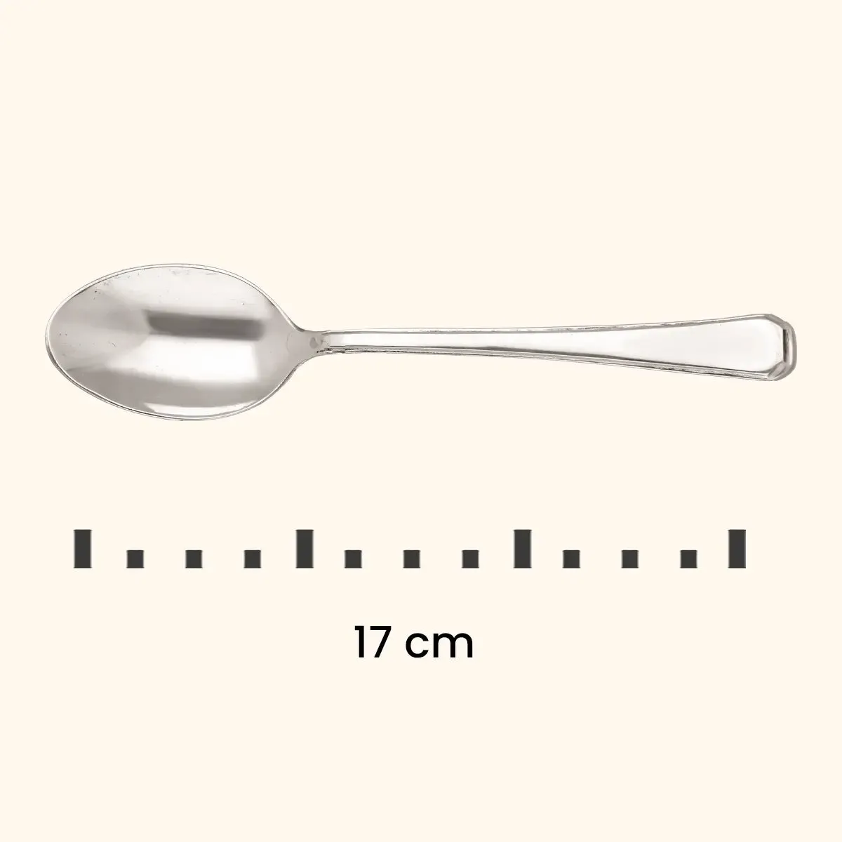 Lustrous Silver Spoon